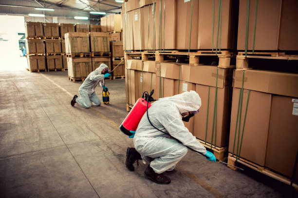 Best Emergency Pest Control  in Orem, UT
