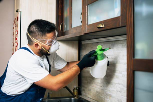 Best Best Pest Control Companies  in Orem, UT