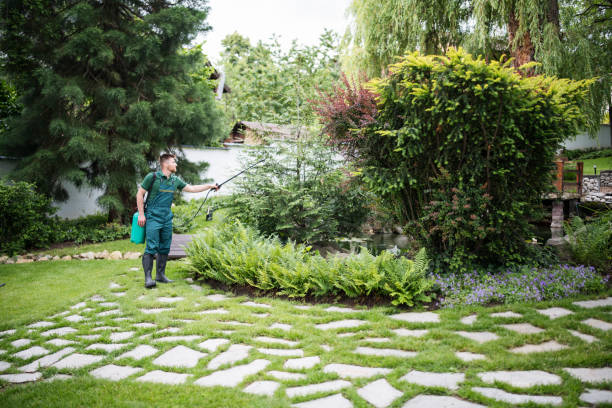 Best Wasp Removal Services  in Orem, UT