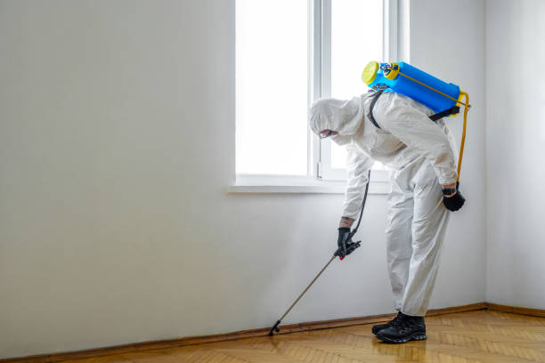 Best Local Pest Control Services  in Orem, UT
