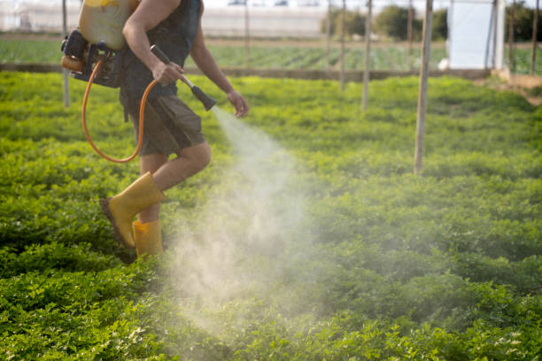 Best Pest Control Near Me in Orem, UT
