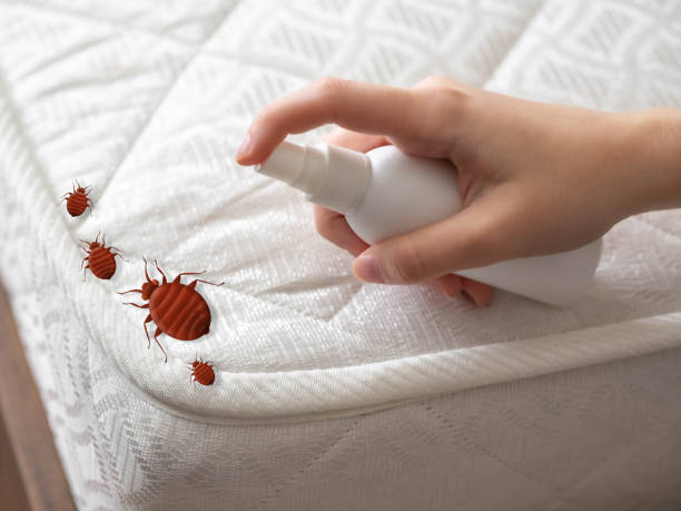 Best Residential Pest Control  in Orem, UT