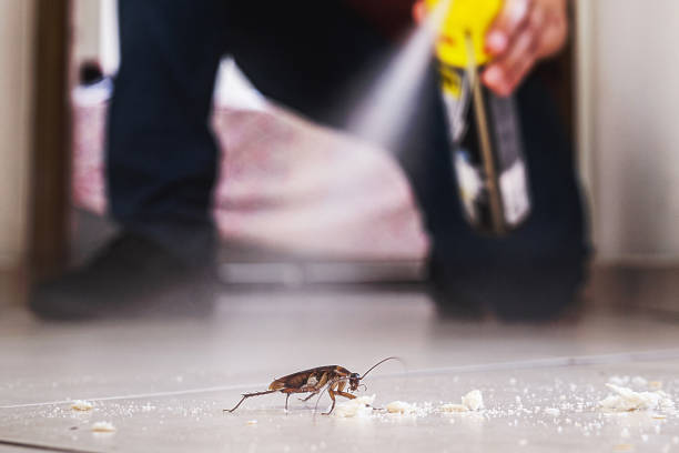 Best Exterminator Services  in Orem, UT