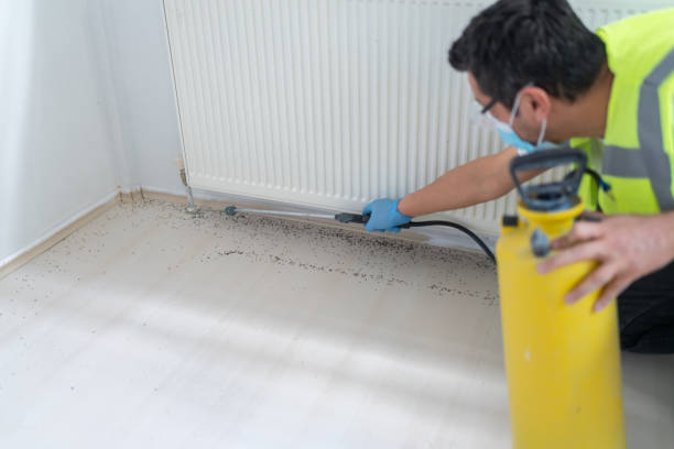 Best Best Pest Control Companies  in Orem, UT