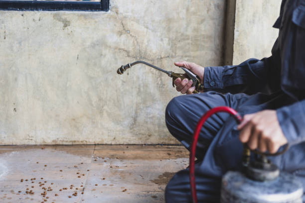 Best Pest Prevention Services  in Orem, UT
