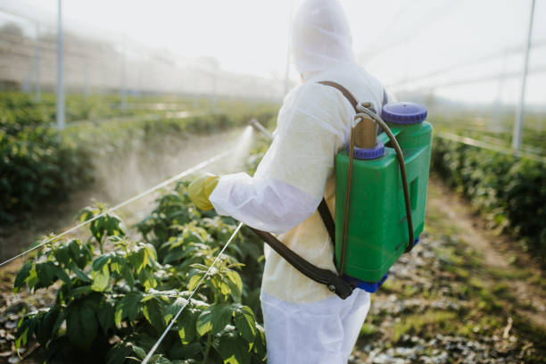 Professional Pest Control in Orem, UT